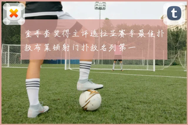 金手套奖得主评选拉亚赛季最佳扑救布莱顿射门扑救名列第一